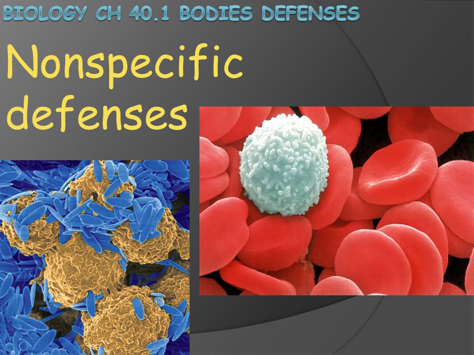 Biology Ch 40.1 Bodies defenses
