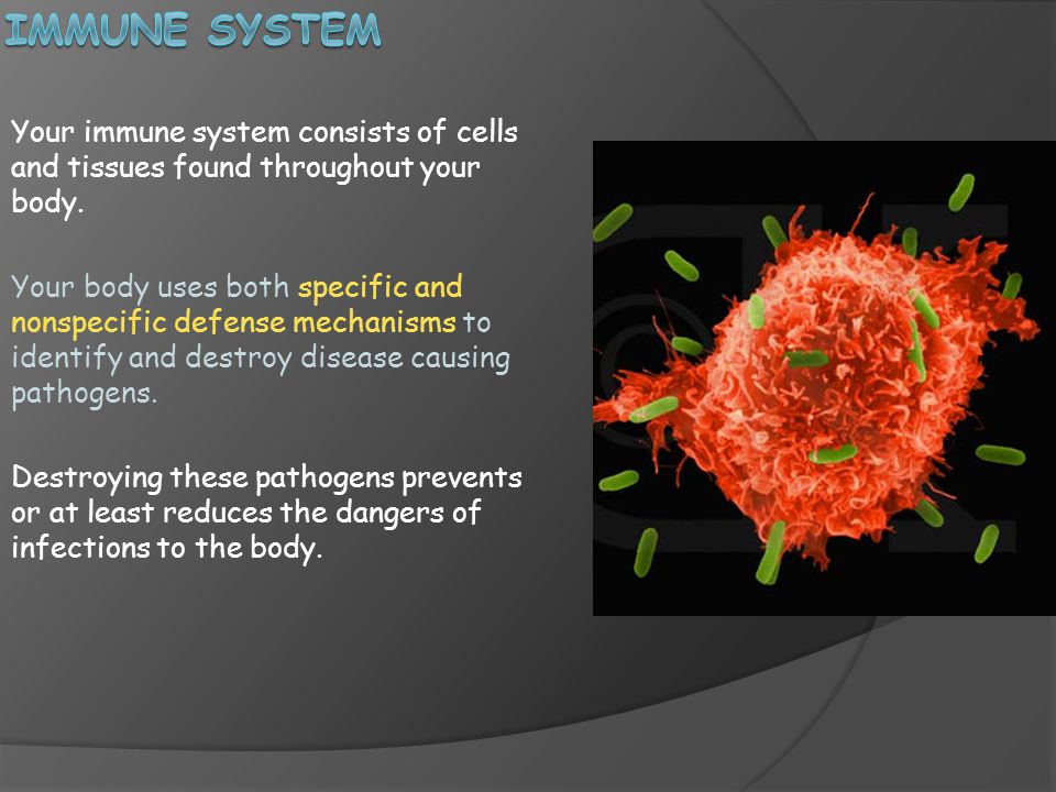 Immune System Your immune system consists of cells and tissues found throughout your body.