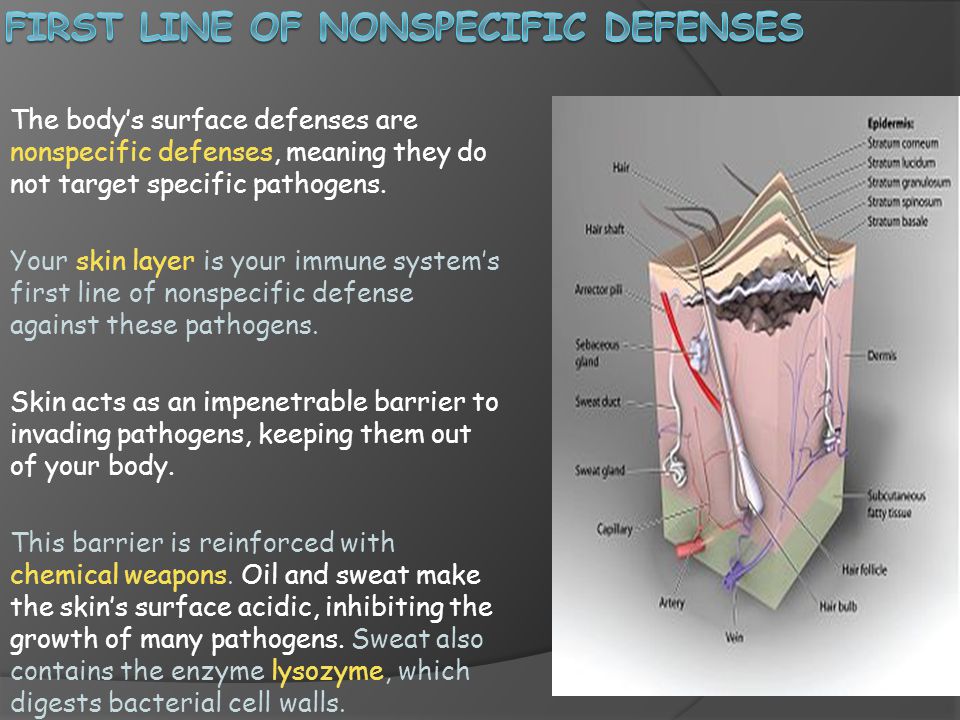 First Line of Nonspecific defenses