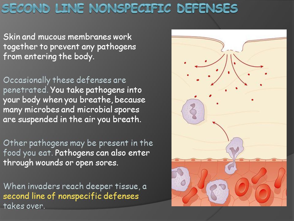 Second line nonspecific defenses
