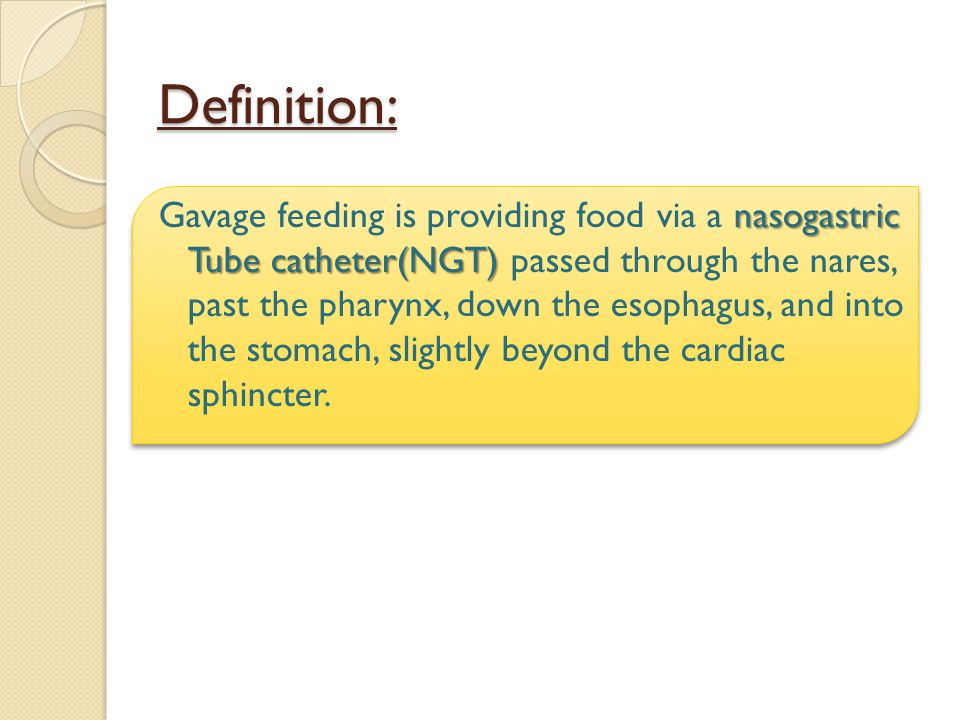 GAVAGE FEEDING Ms. Ahdab Faisal Eskandar ppt video online download