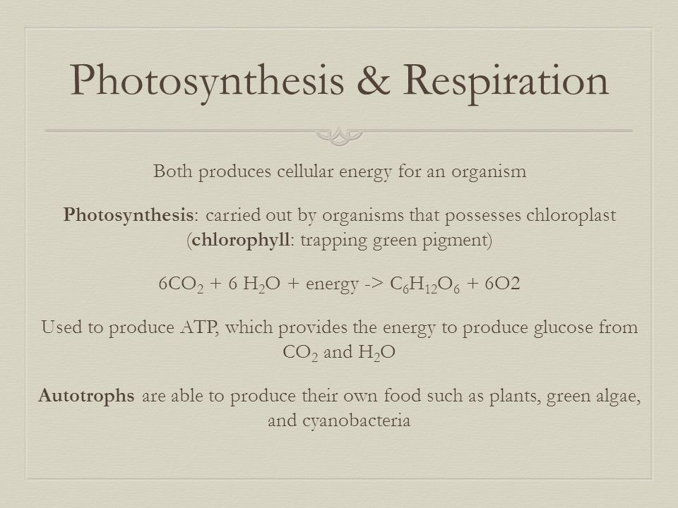 Human Body Science Life Science - ppt video online download