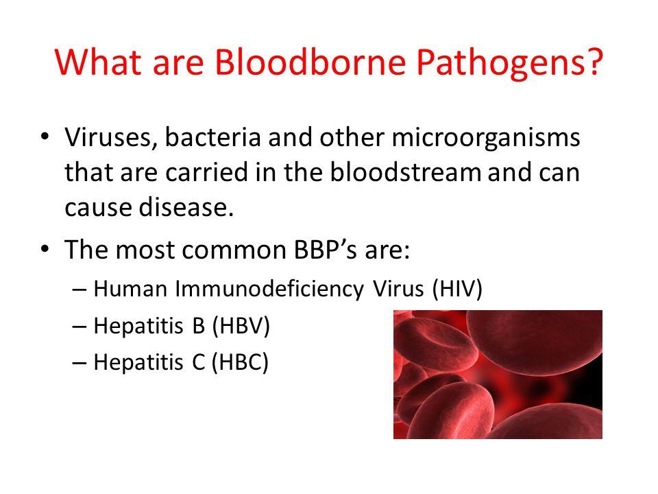 What are Bloodborne Pathogens