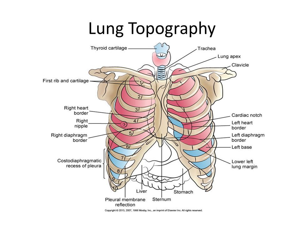 epub therapeutic strategies in