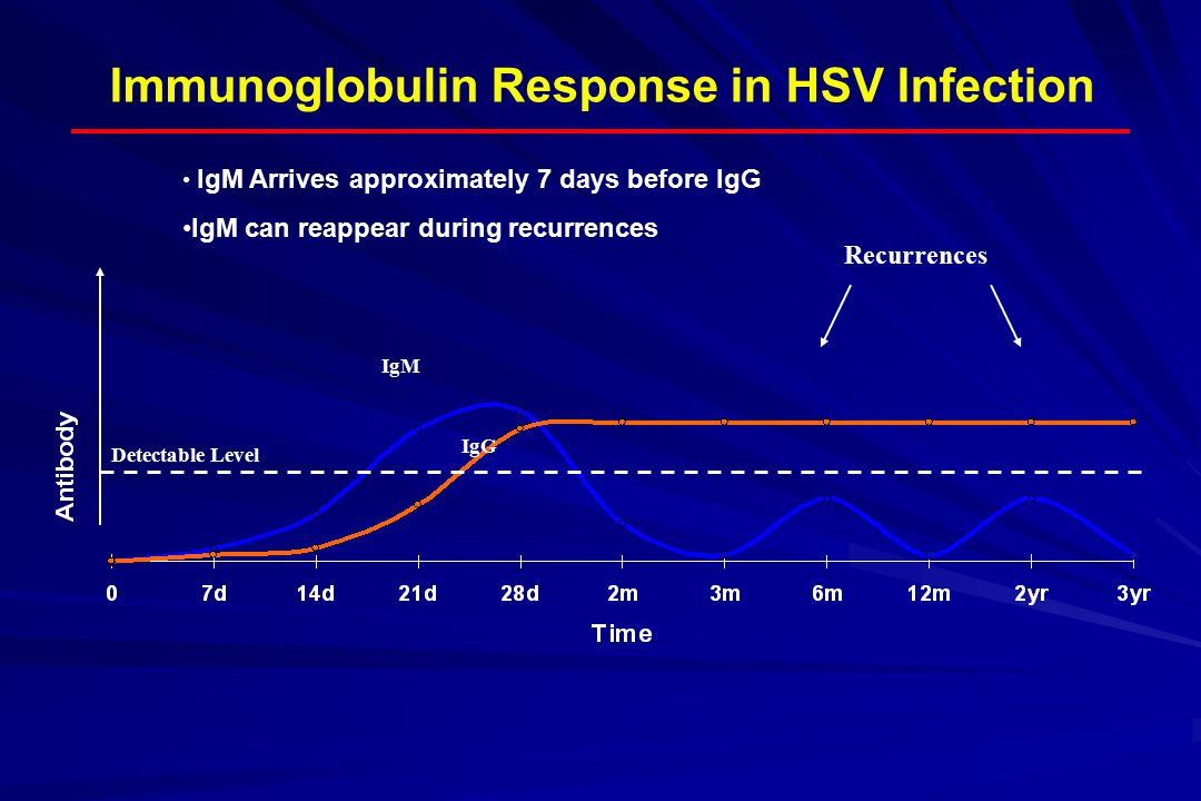 Igg к herpes simplex virus. Herpes Simplex virus 2 IGG. IGM IGG В клинических корреляция. HSV график. IGM свидетельствуют.