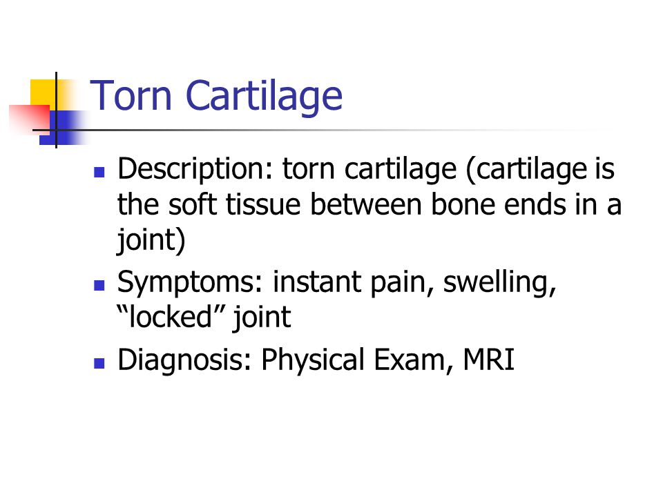 Torn Cartilage Description: torn cartilage (cartilage is the soft tissue between bone ends in a joint)