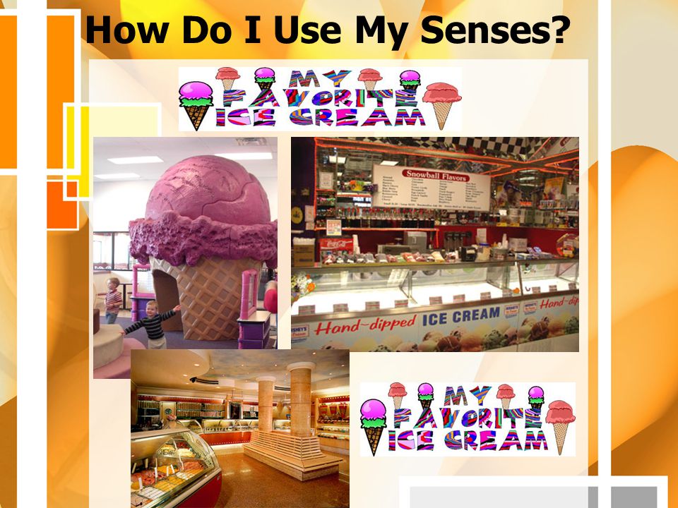 How Do I Use My Senses