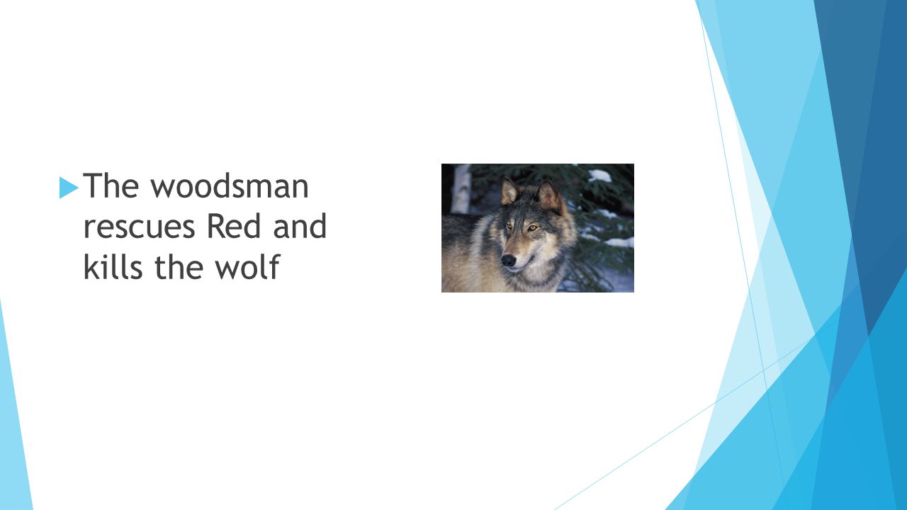 The woodsman rescues Red and kills the wolf