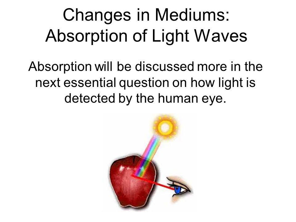 Changes in Mediums: Absorption of Light Waves