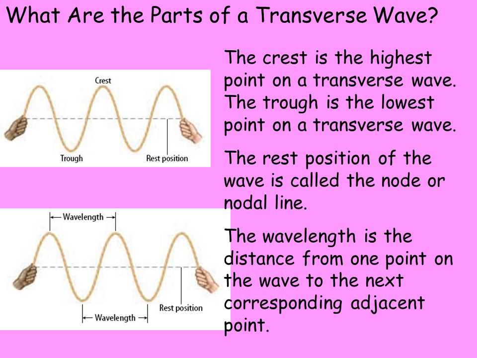 What Are the Parts of a Transverse Wave