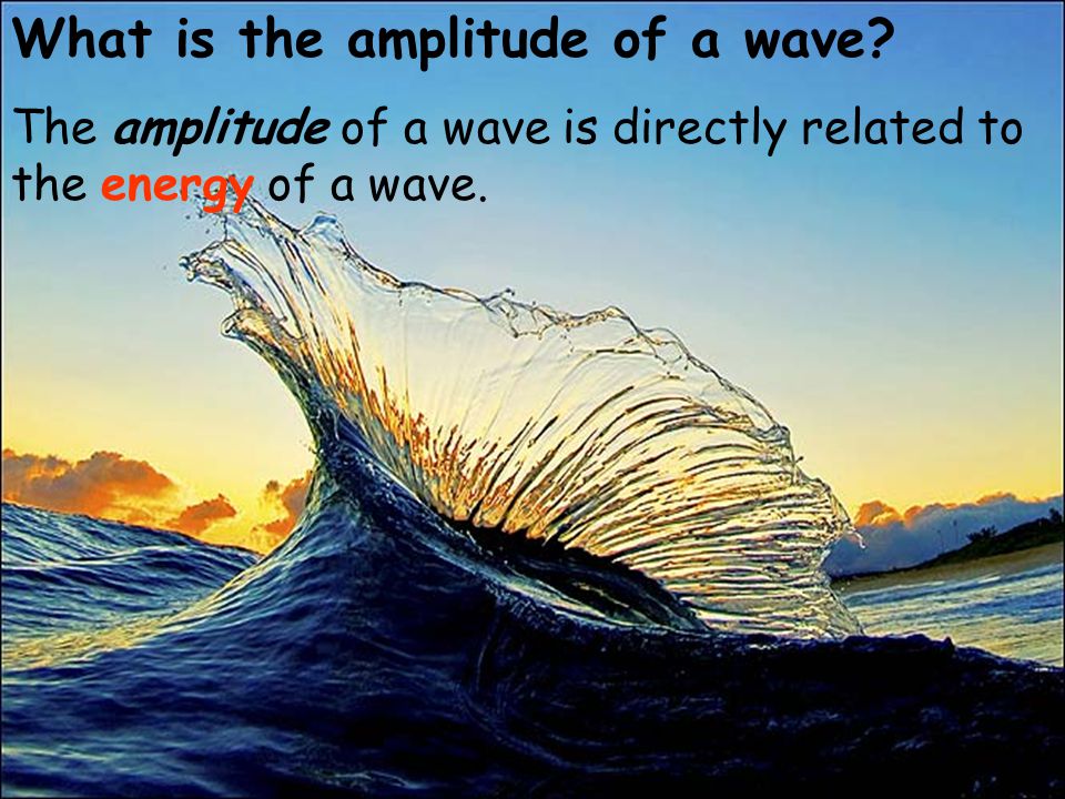 What is the amplitude of a wave
