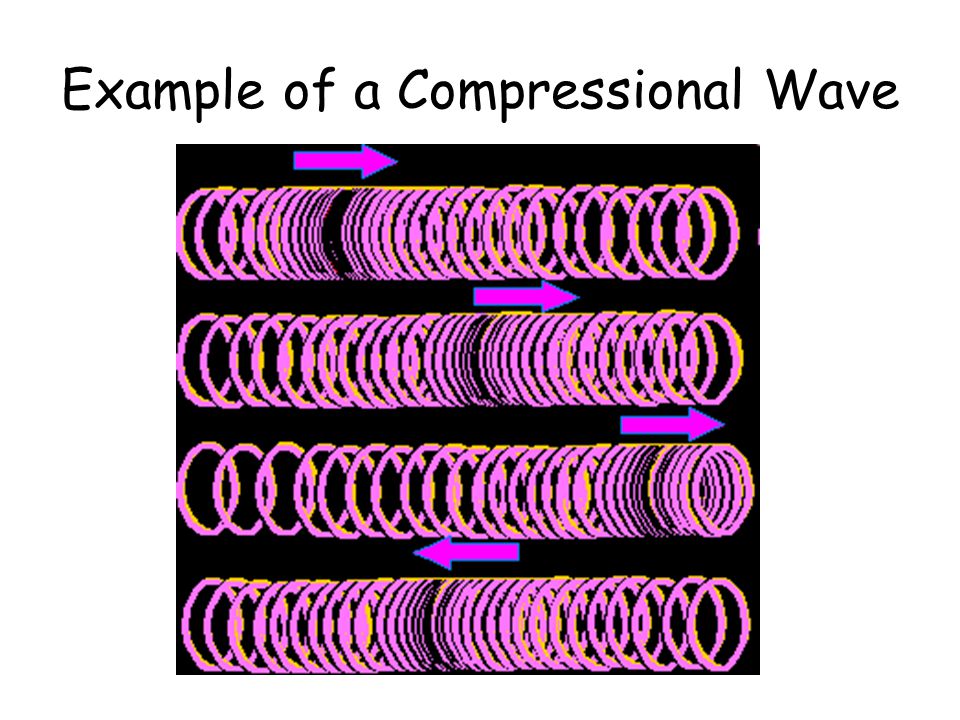 Example of a Compressional Wave