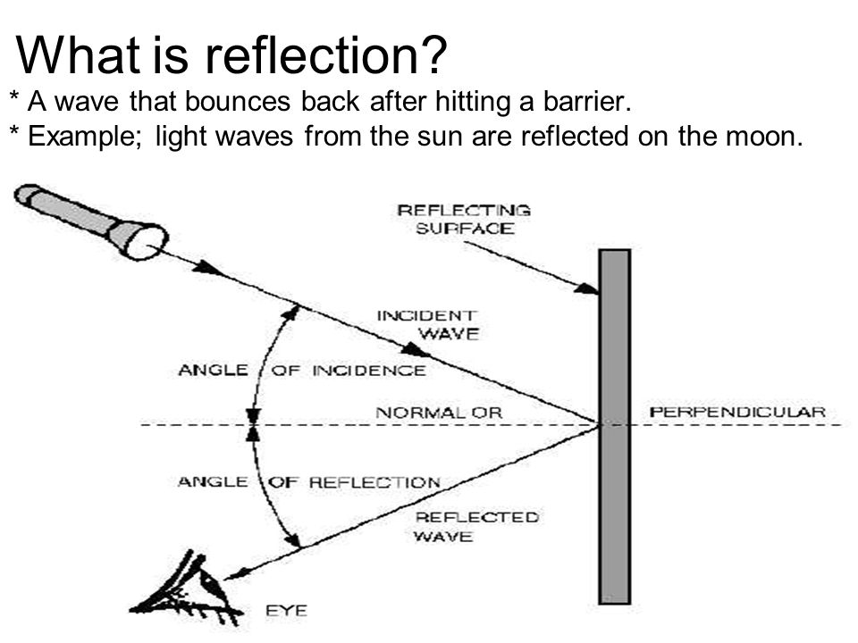 What is reflection. * A wave that bounces back after hitting a barrier.