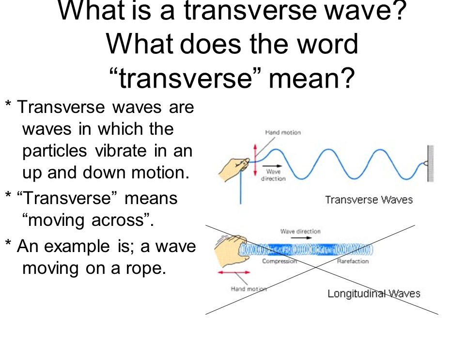 What is a transverse wave What does the word transverse mean
