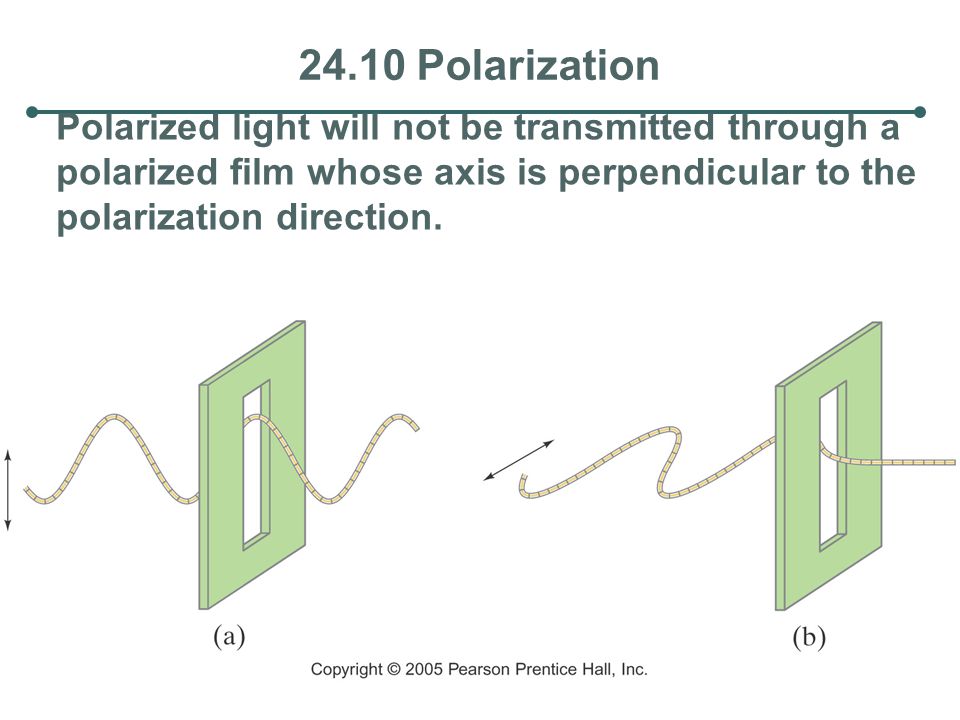 24.10 Polarization Polarized light will not be transmitted through a polarized film whose axis is perpendicular to the polarization direction.