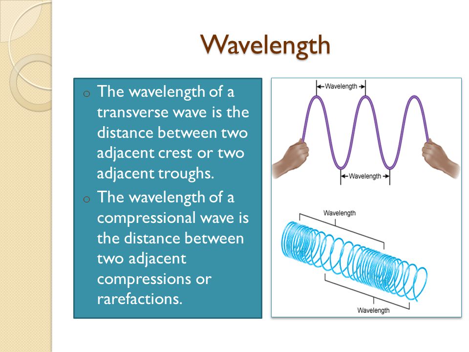 Wavelength The wavelength of a transverse wave is the distance between two adjacent crest or two adjacent troughs.