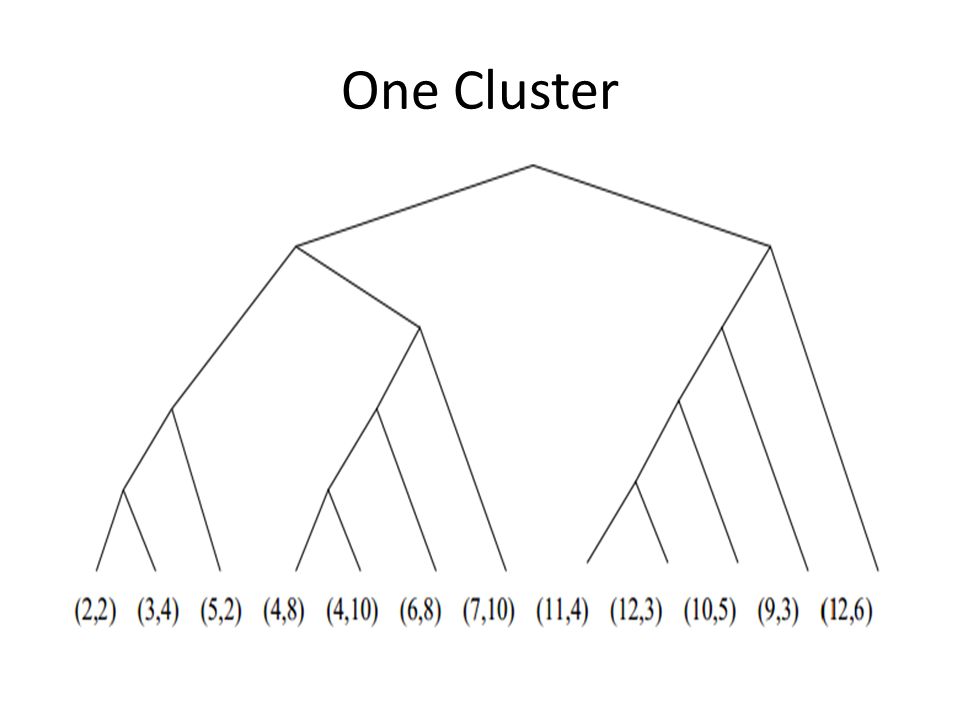 One Cluster