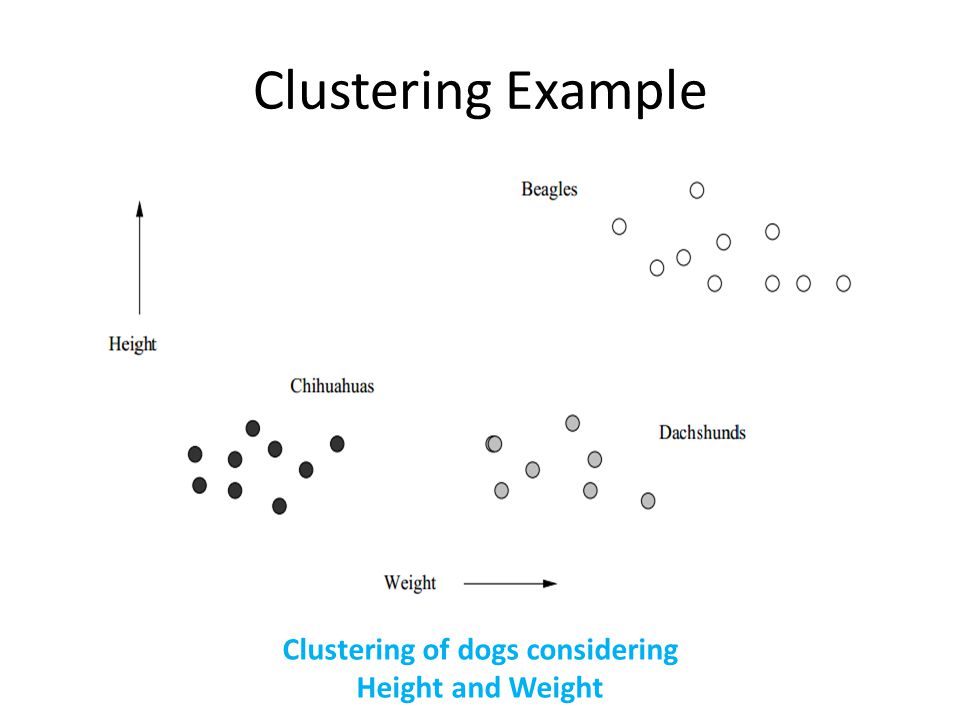 Clustering of dogs considering Height and Weight