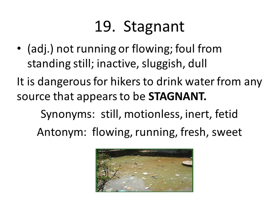 Level D Unit 5 Vocabulary Words. ppt download