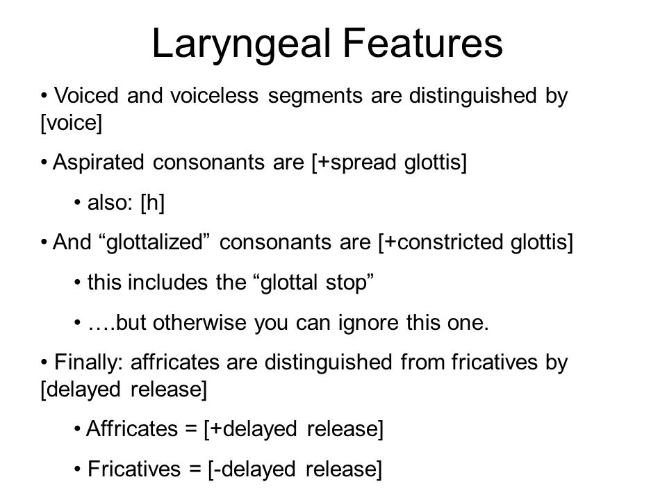 Laryngeal Features Voiced and voiceless segments are distinguished by [voice] Aspirated consonants are [+spread glottis]