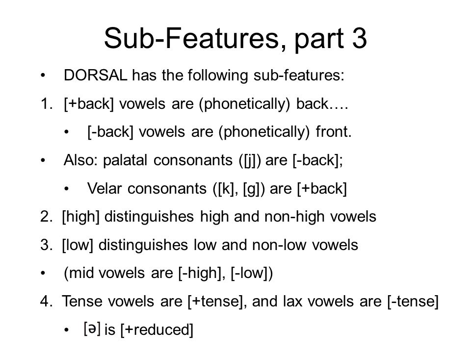 Sub-Features, part 3 DORSAL has the following sub-features: