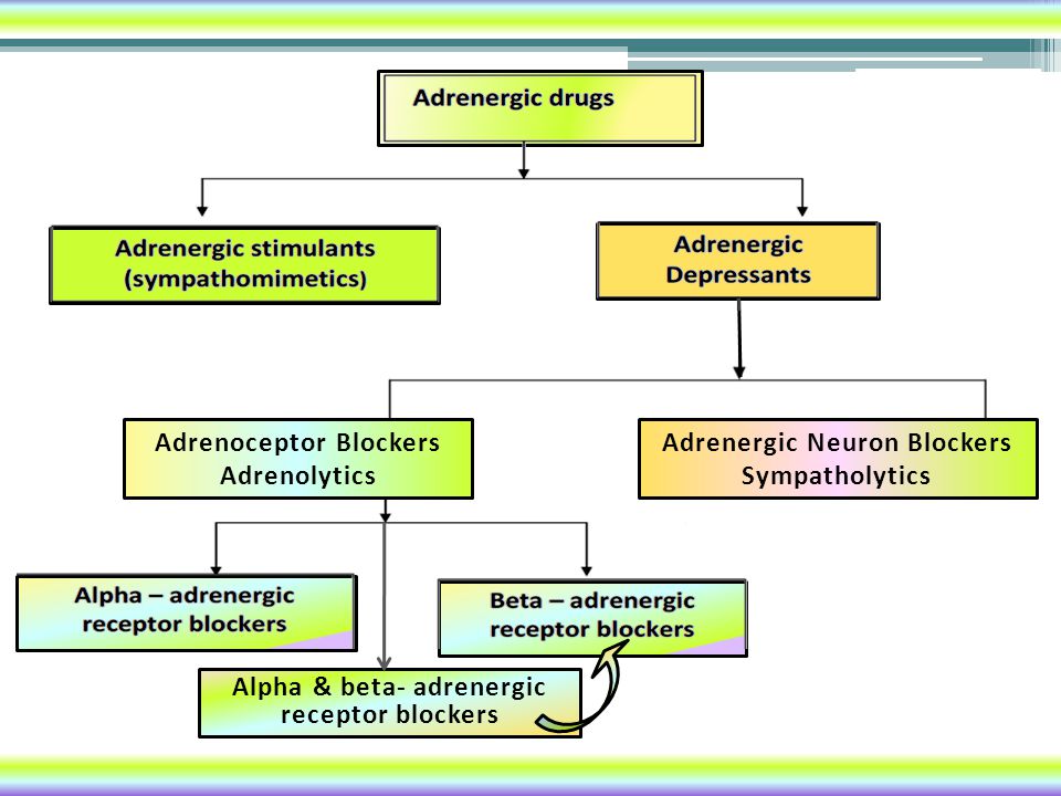 PHARMACOLOGY OF SNS. - ppt video online download