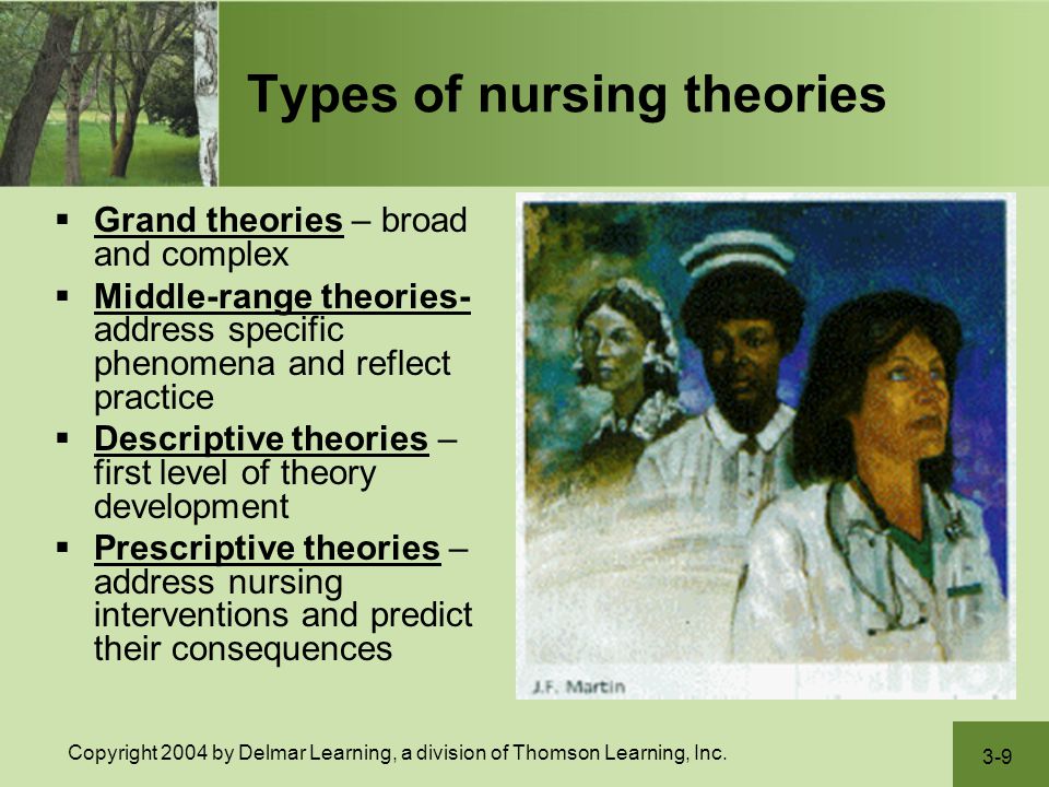 what are grand theories in nursing