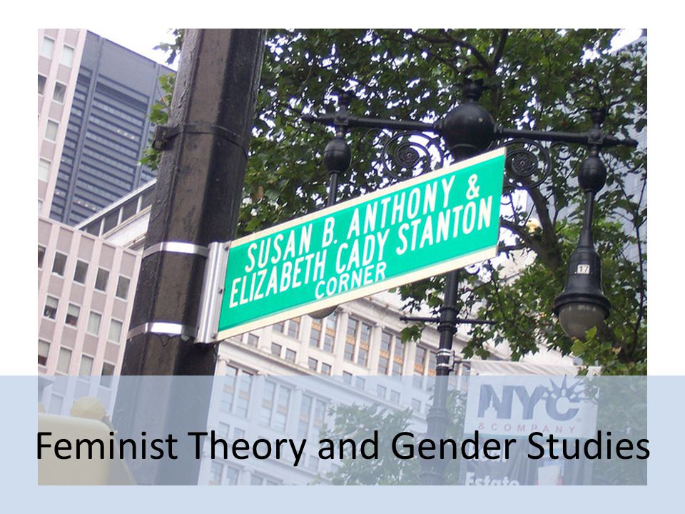 Feminist Theory and Gender Studies