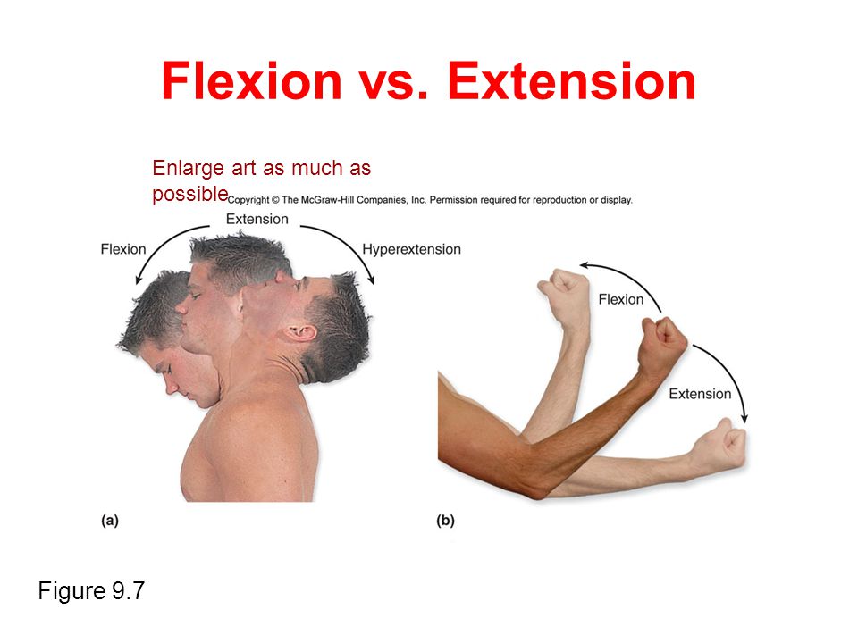 V extension. Flexion Extension. Flexio анатомия. Flexion спина. Flexion Grammar.