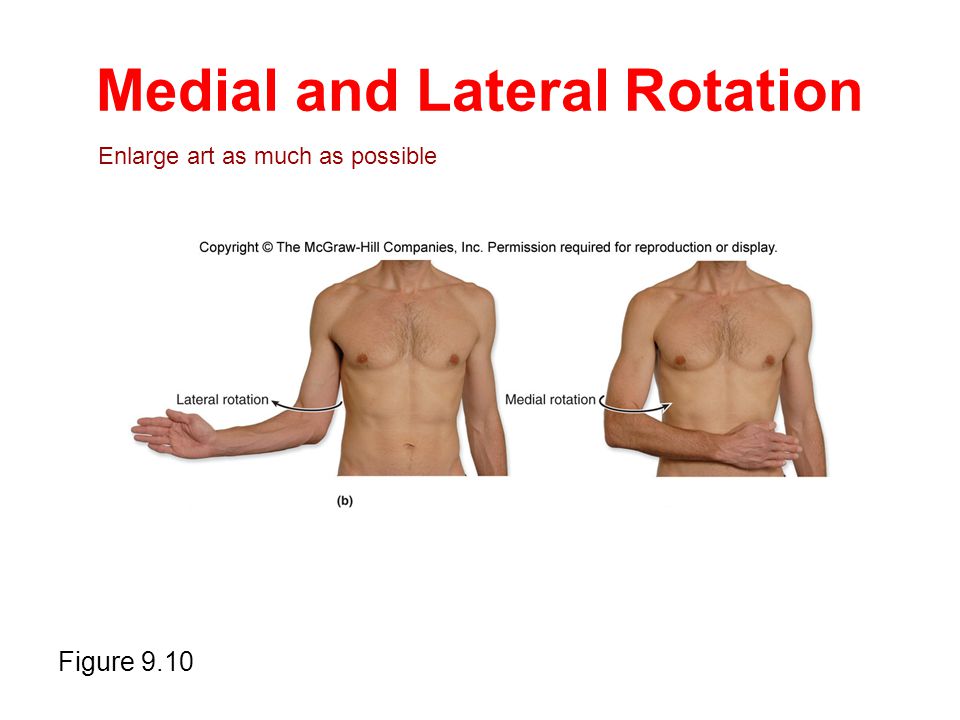 Лотераль. Medial lateral. Lateral rotation. Lateral and medial rotation. Medial lateral and Kraneal.
