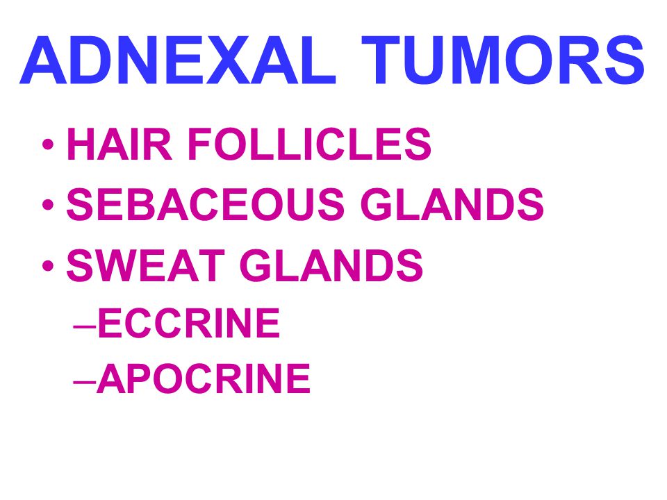 ADNEXAL TUMORS HAIR FOLLICLES SEBACEOUS GLANDS SWEAT GLANDS ECCRINE
