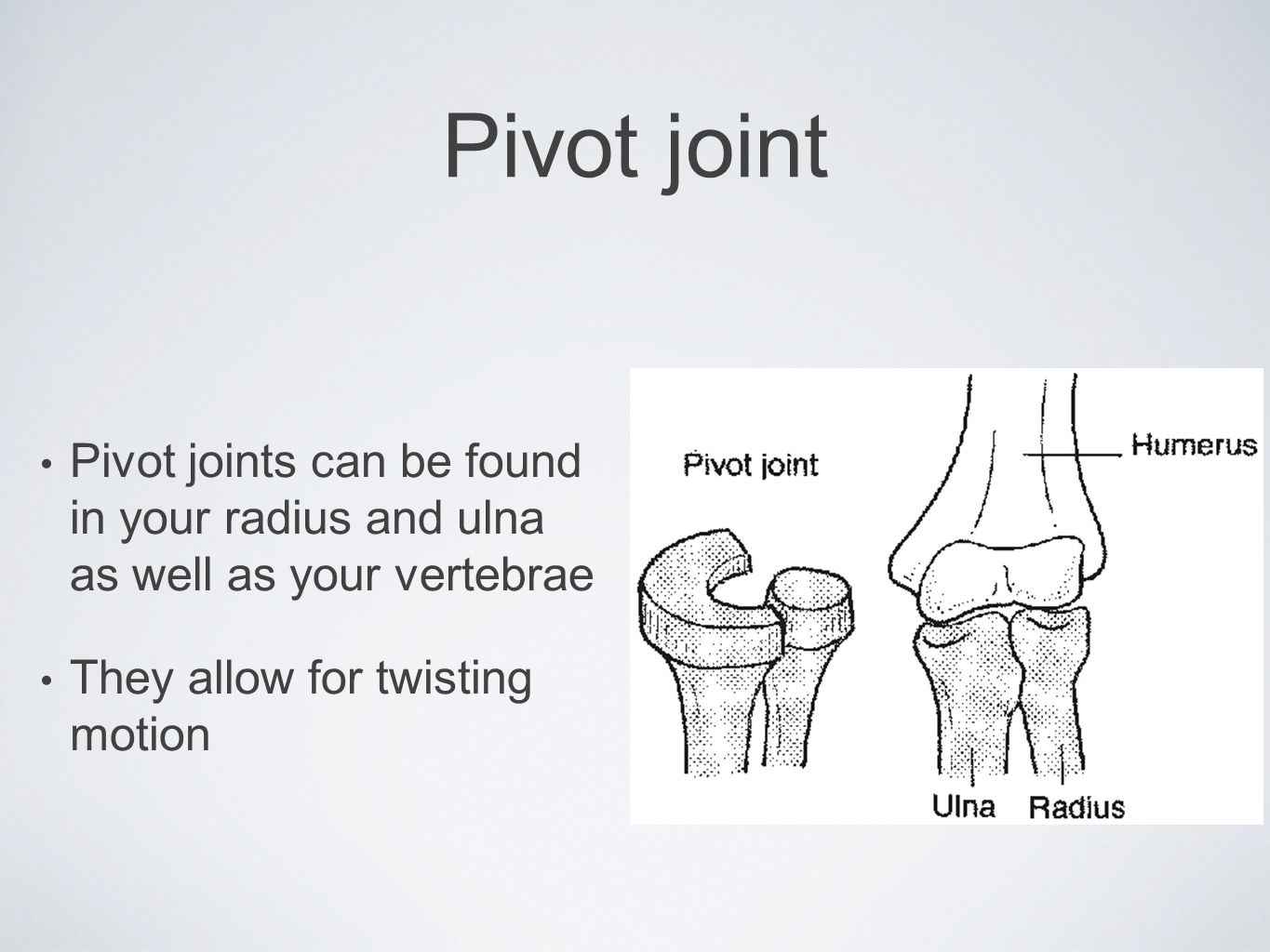Pivot joint Pivot joints can be found in your radius and ulna as well as your vertebrae.