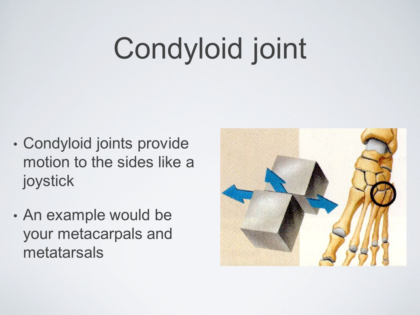 Condyloid joint Condyloid joints provide motion to the sides like a joystick.