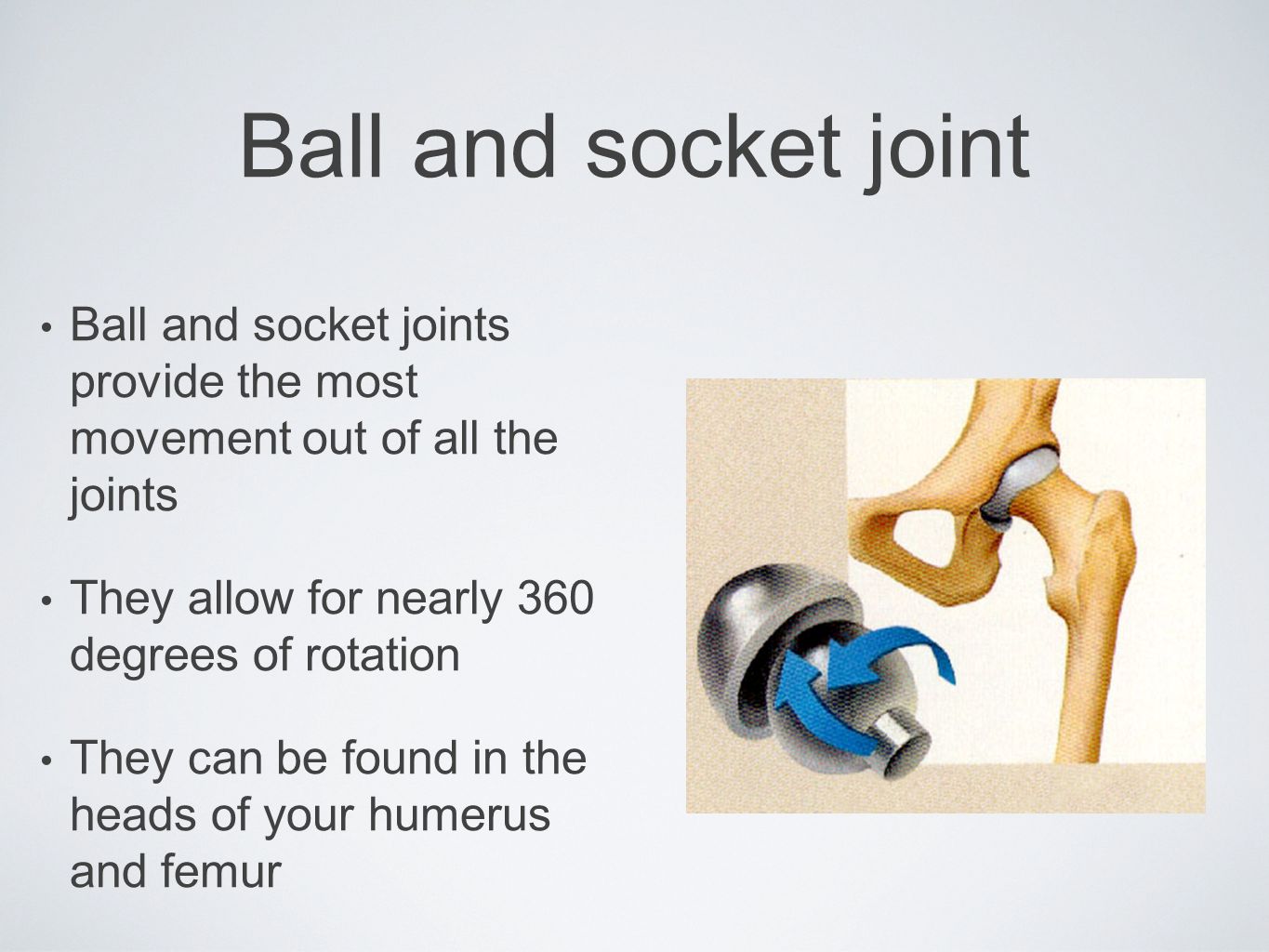 Ball and socket joint Ball and socket joints provide the most movement out of all the joints. They allow for nearly 360 degrees of rotation.