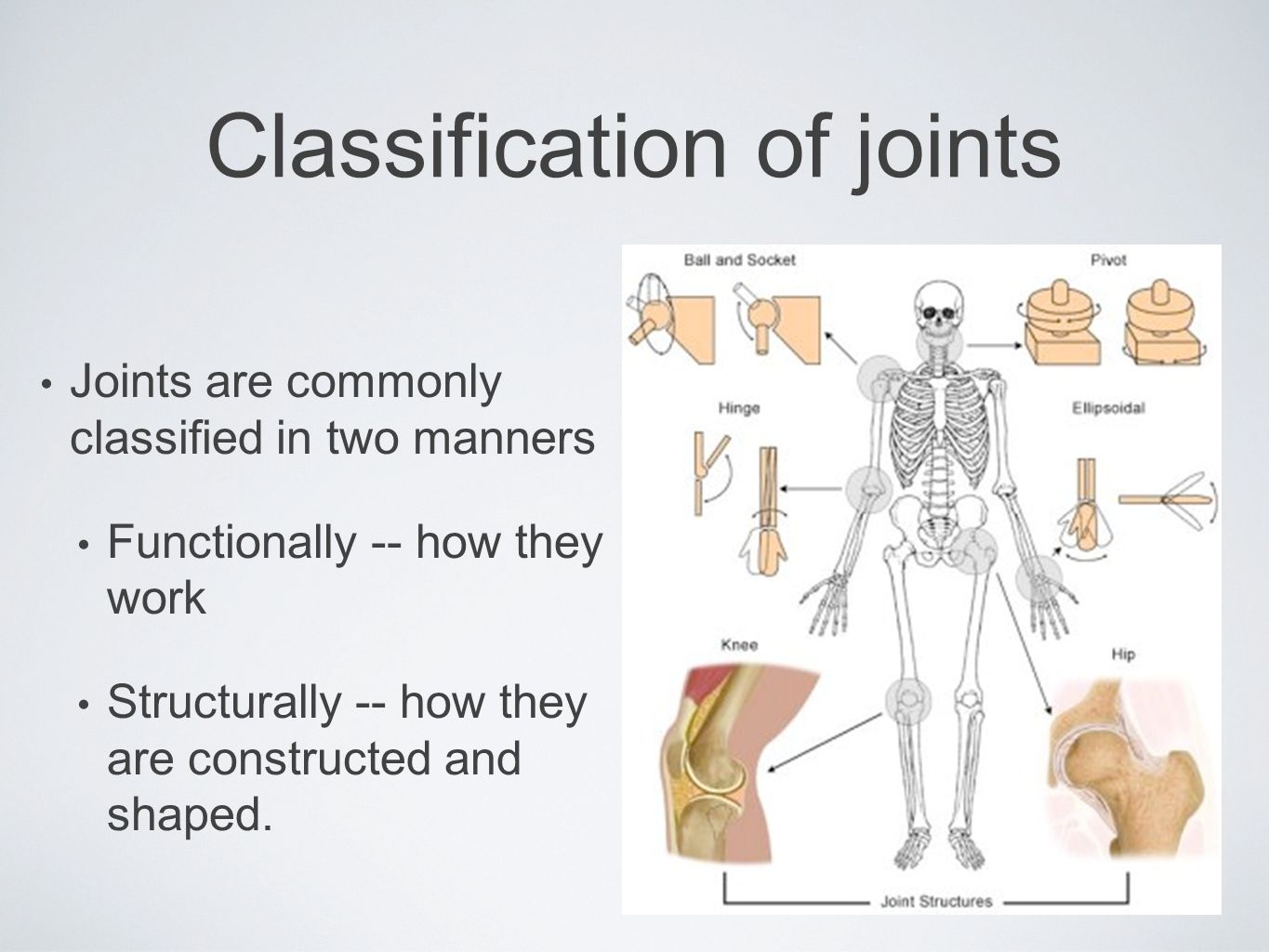 Classification of joints