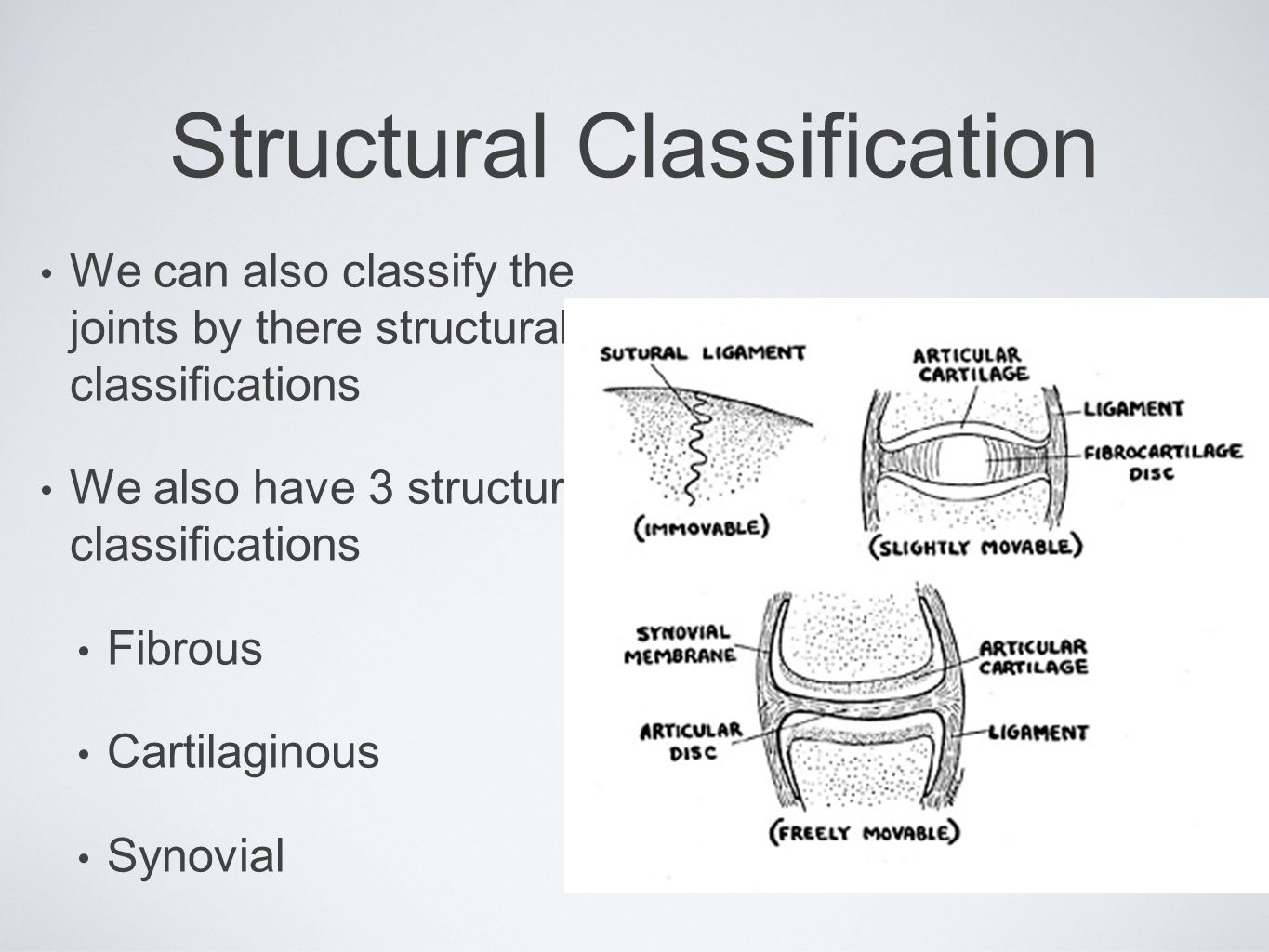 Structural Classification
