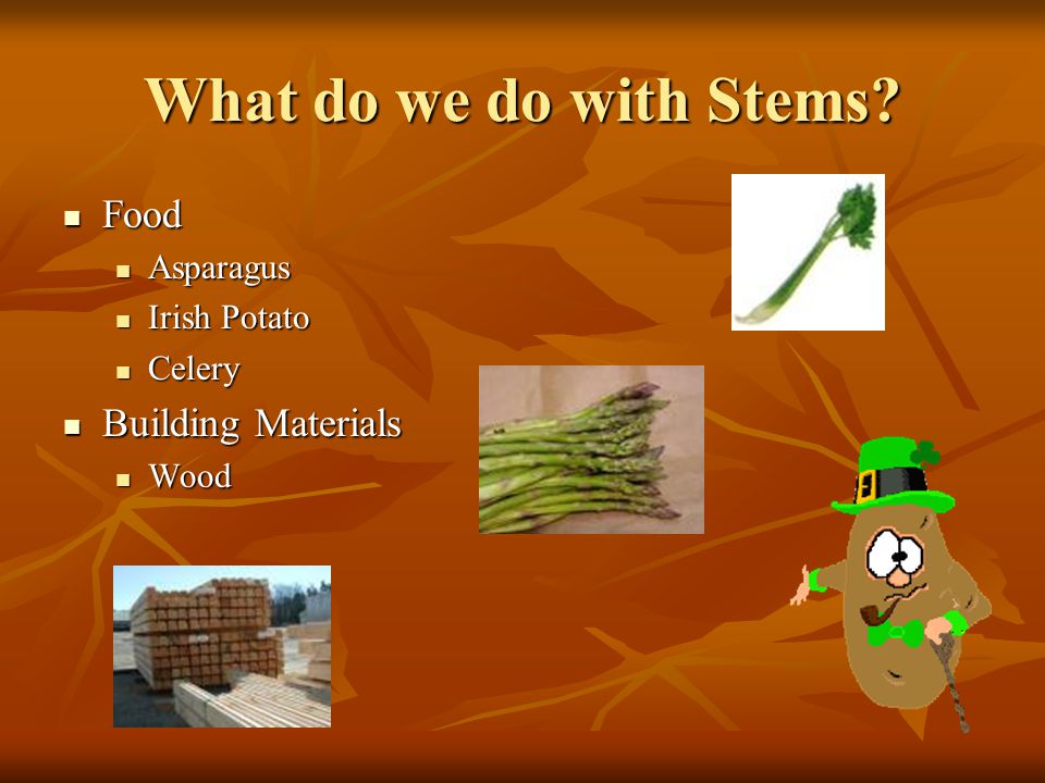 What do we do with Stems Food Building Materials Asparagus