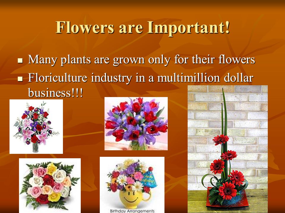Flowers are Important! Many plants are grown only for their flowers