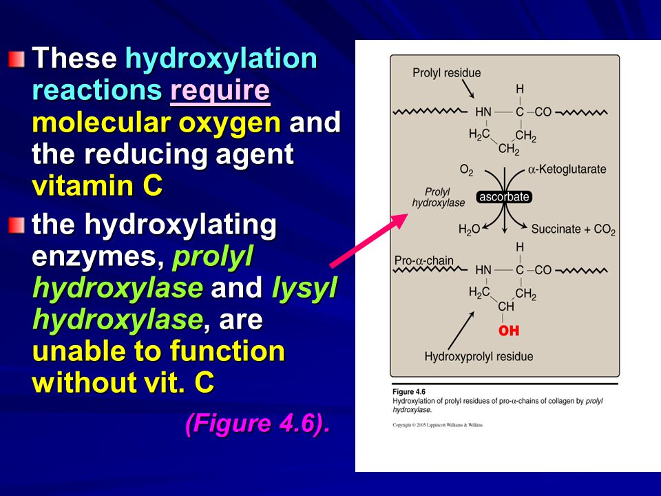 Chapter 4 fibrous proteins ppt video online download
