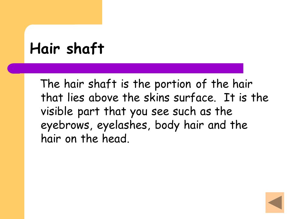 Hair shaft