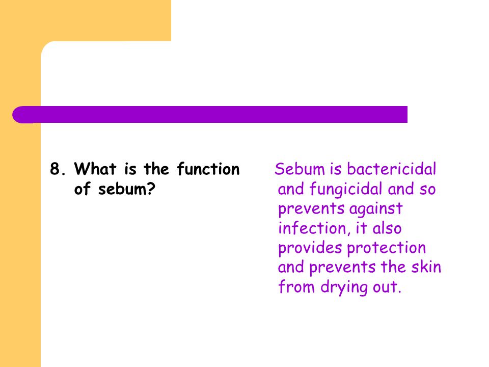 8. What is the function of sebum