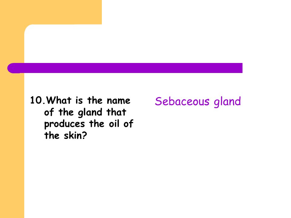 10.What is the name of the gland that produces the oil of the skin