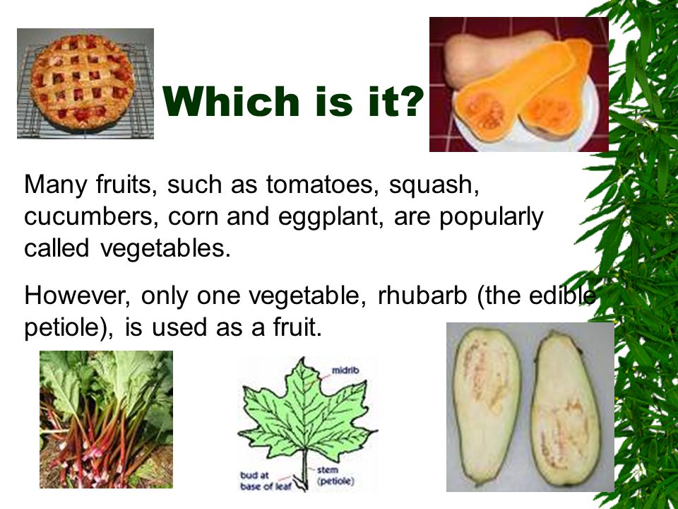Which is it Many fruits, such as tomatoes, squash, cucumbers, corn and eggplant, are popularly called vegetables.