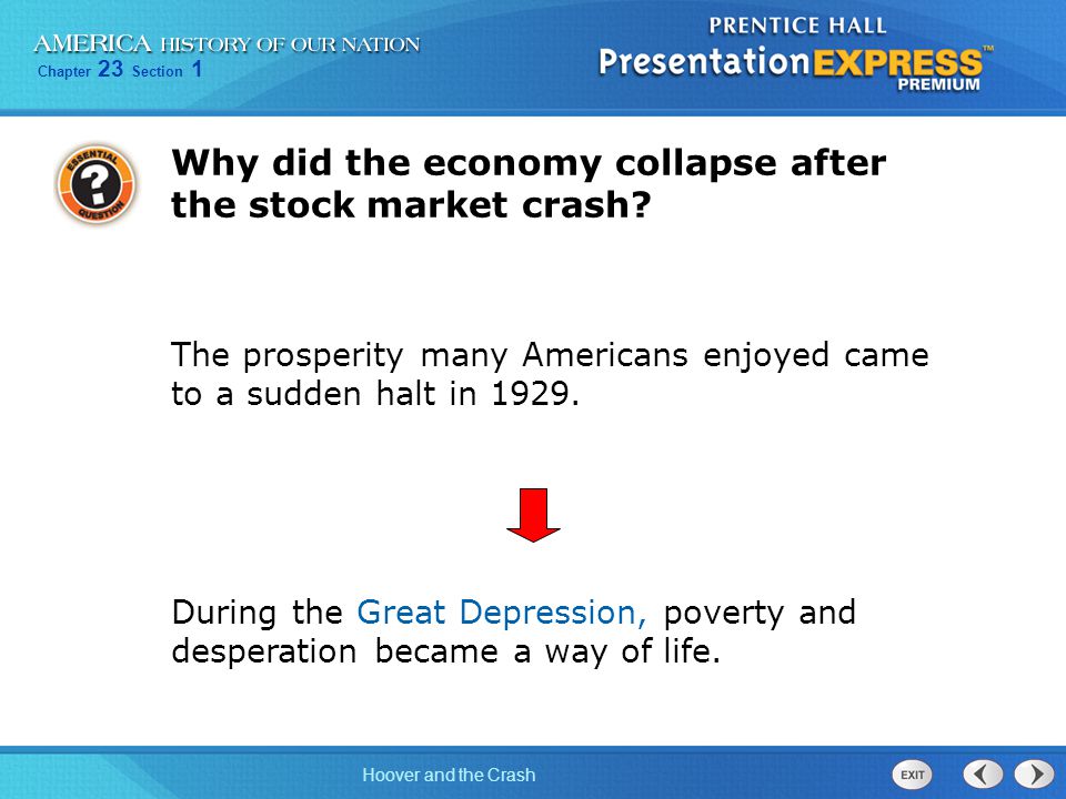 Why did the economy collapse after the stock market crash