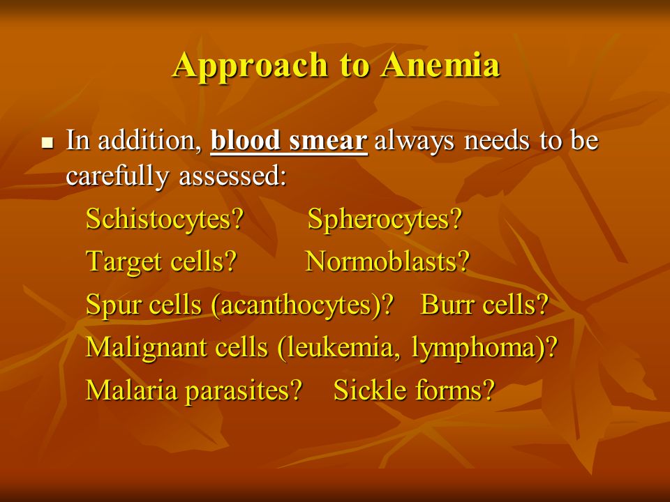 Approach to Anemia In addition, blood smear always needs to be carefully assessed: Schistocytes Spherocytes