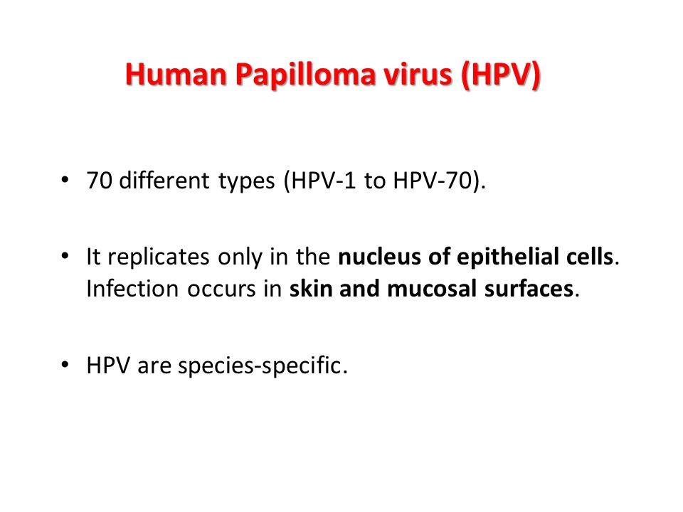 papilloma virus genotipo 45)