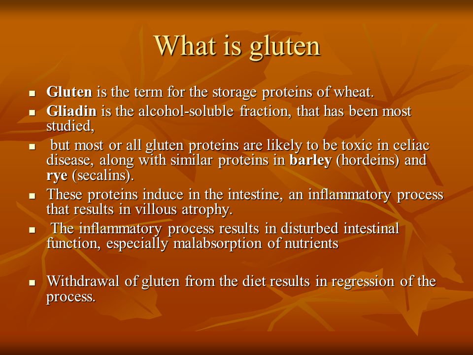What is gluten Gluten is the term for the storage proteins of wheat.