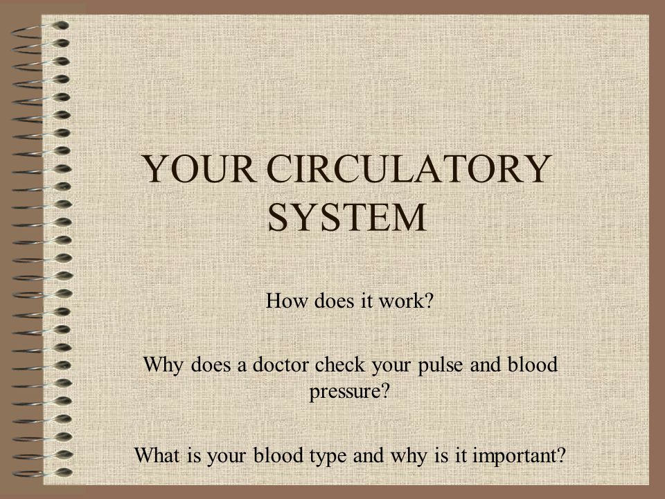 YOUR CIRCULATORY SYSTEM