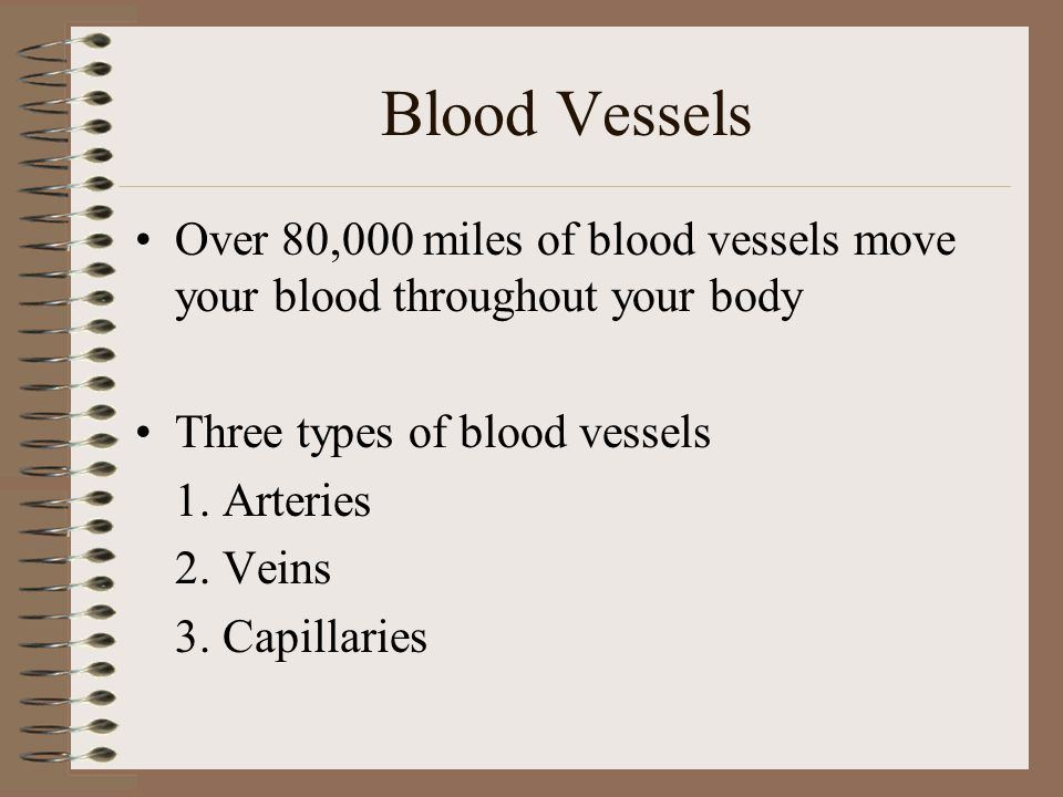 Blood Vessels Over 80,000 miles of blood vessels move your blood throughout your body. Three types of blood vessels.