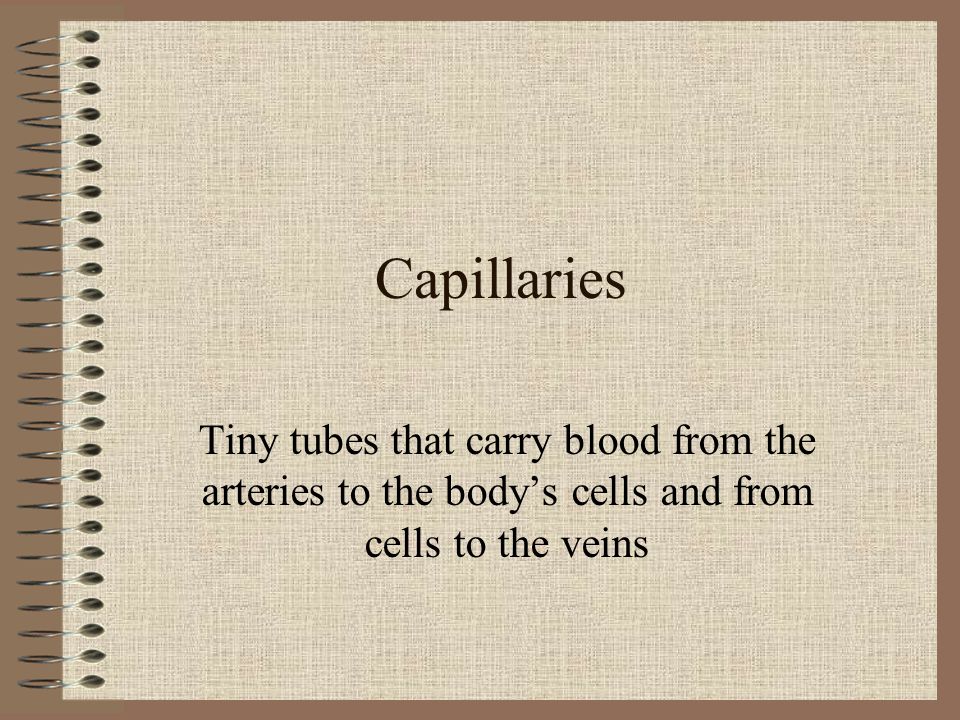 Capillaries Tiny tubes that carry blood from the arteries to the body’s cells and from cells to the veins.